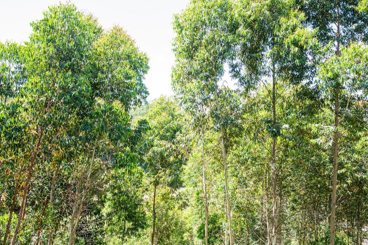 Casa Container Figo Em Meio A Natureza Na Serra Gaucha フローレス・ダ・クーニャ エクステリア 写真